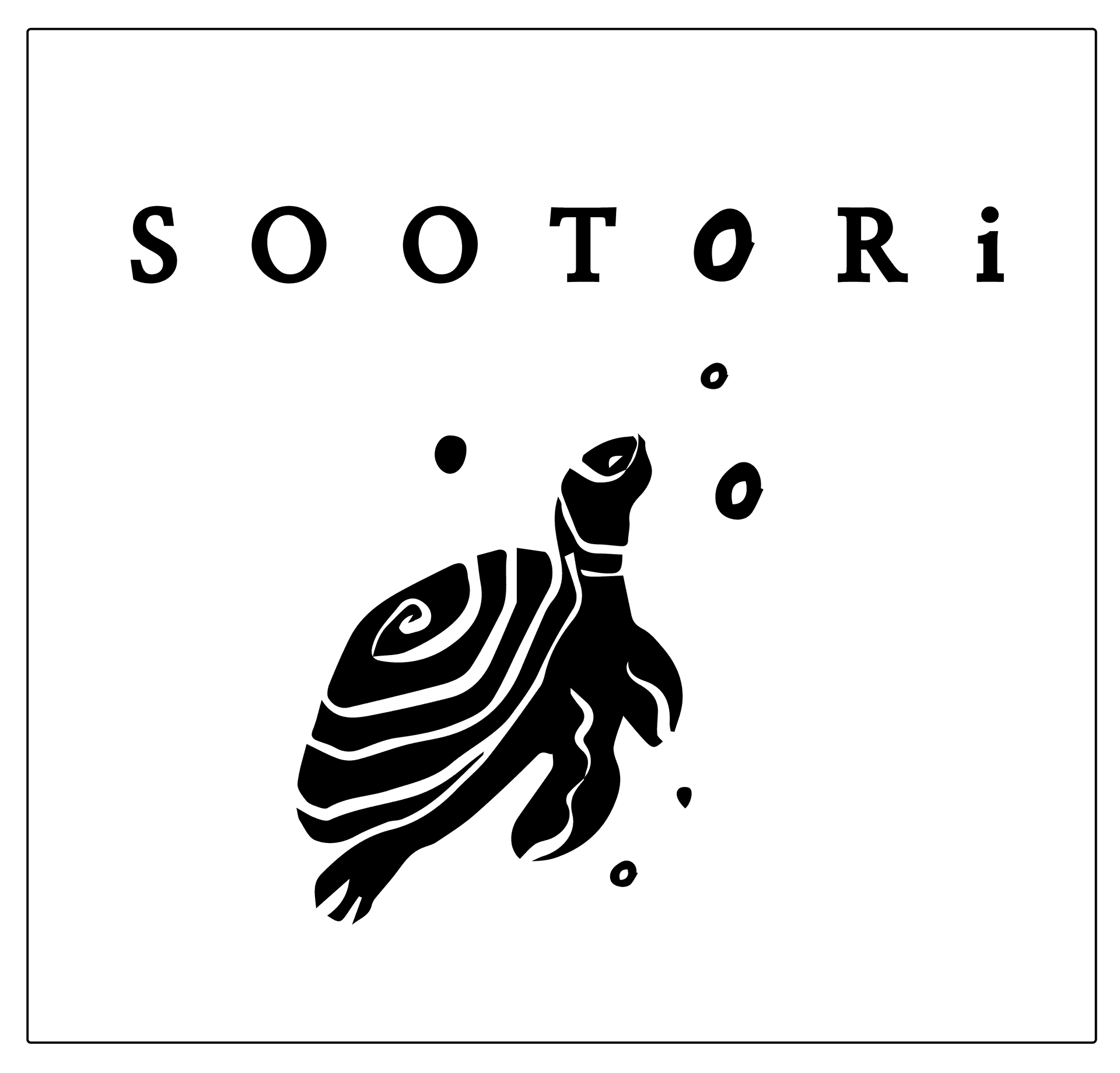 Stylized turtle graphic with text 'SOOTØRi' on a dark background.